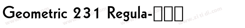Geometric 231 Regula字体转换